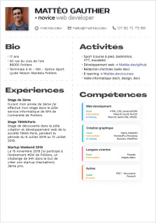 Curriculum Vitae / CV